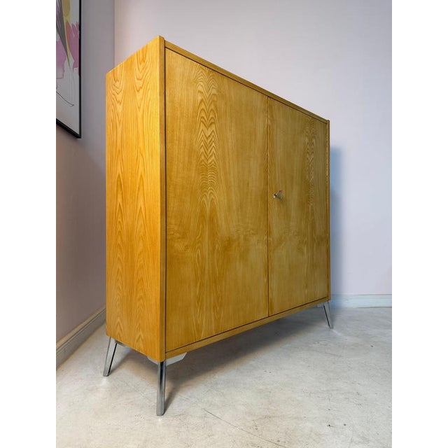 Type 430 Cabinet in Ash by Joachim Nebelung for Hellerau For Sale - Image 11 of 11