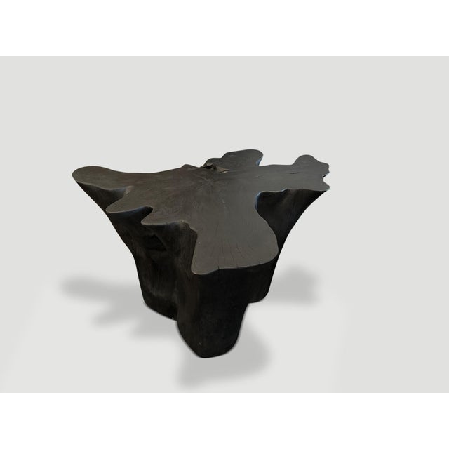 Andrianna Shamaris Sculptural Charred Teak Wood Coffee Table For Sale - Image 4 of 18