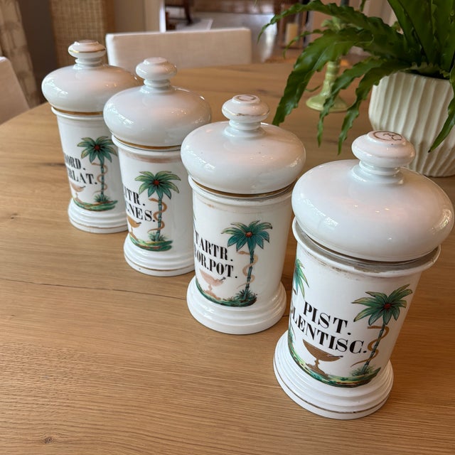 Set of 4 Antique Porcelain Apothecary Jars With Hand Painted Palm Tree and Serpent Decoration For Sale In New York - Image 6 of 12