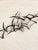Mid-Century Modern Vintage Iron Flock Bird Wall Sculpture MCM Coastal Large 56" Walling Hanging Art For Sale - Image 3 of 8