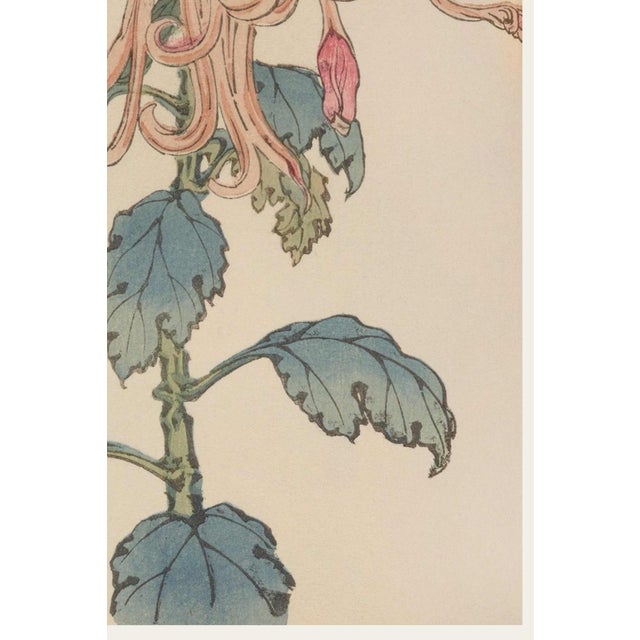 Not Yet Made - Made To Order Pink Floral Giclee, Vintage Japanese Botanical Art Print, 40" X 60" For Sale - Image 5 of 8