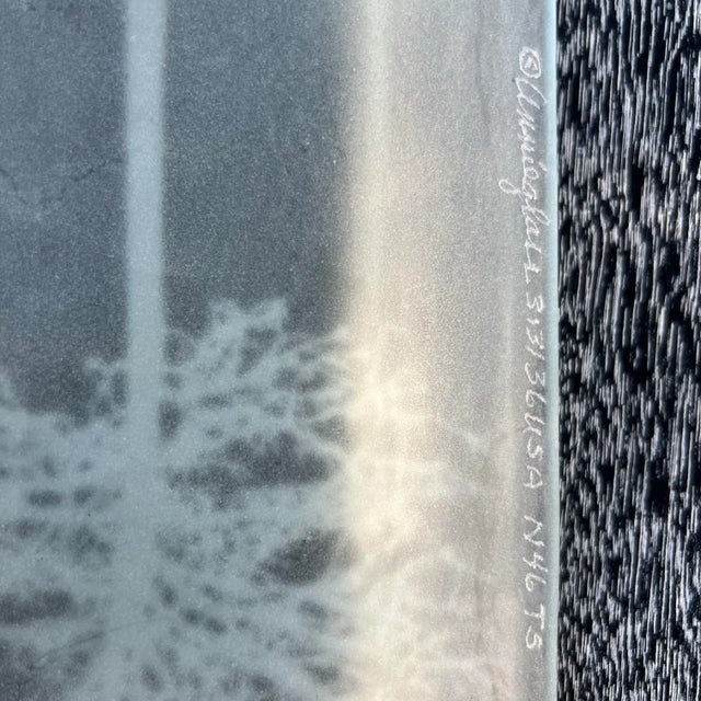 A beautiful rectangular Annie Glass dish featuring matte glass and silver tree image. Perfect for your winter decor, this...