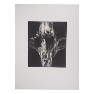 Stanislav Marijanovic, Hunch I, 1989, Etching For Sale