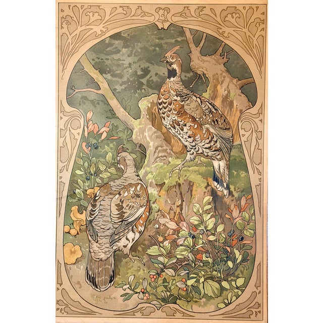 Antique 19th Century Jugendstil Chromolithograph – Woodland Grouse Pair In Antique Mission / Craftsman Oak Frame Offered...