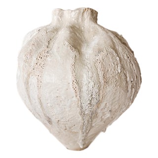 Orbicella Moon Vase For Sale