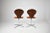 Burnt Orange Pair of Vintage Chairs by Elmar Flötotto, Germany, 1960s For Sale - Image 8 of 16
