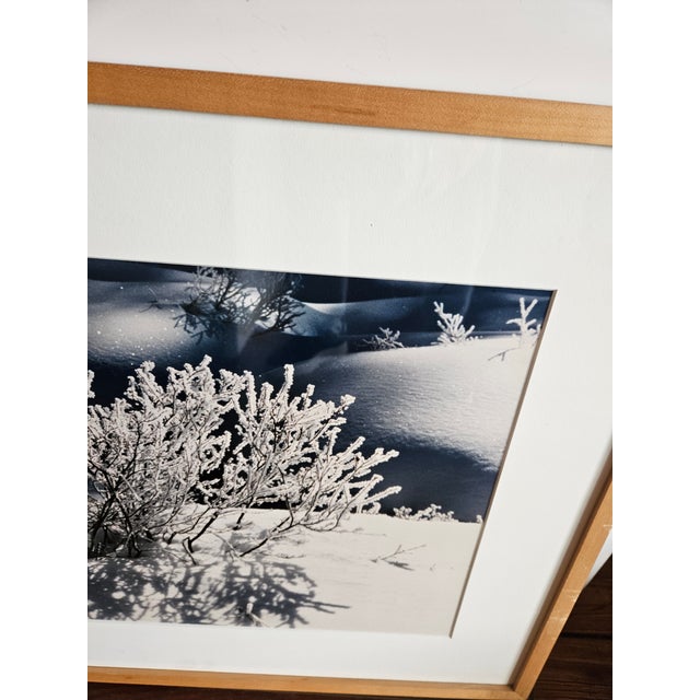 Beautiful color photograph 1997 from an edition of 10. Titled Christmas Hoarfrost 97. Dark Navy and White in a simple oak...