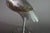 Art Deco Silver-Toned Crane Bird Sculpture with Brass Accents, 1960s For Sale - Image 3 of 11