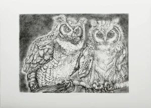 "Great Horned Owls" Lithograph by Christine McGinnis, Printed by David Lynch