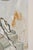 Salvador Dali, Les Voleurs, Nude, Etching For Sale - Image 3 of 5