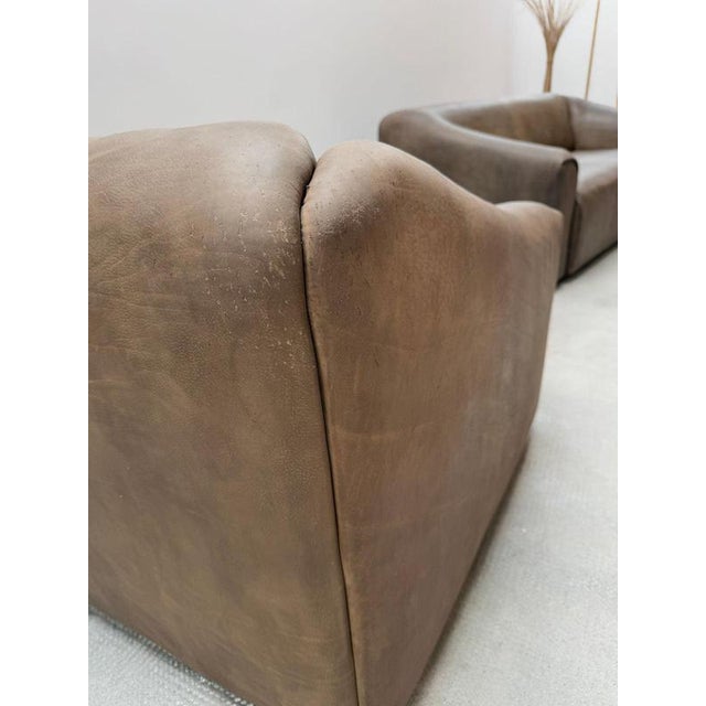 Khaki DS-47 Chair in Buffalo Leather from De Sede, Switzerland, 1970s For Sale - Image 8 of 14