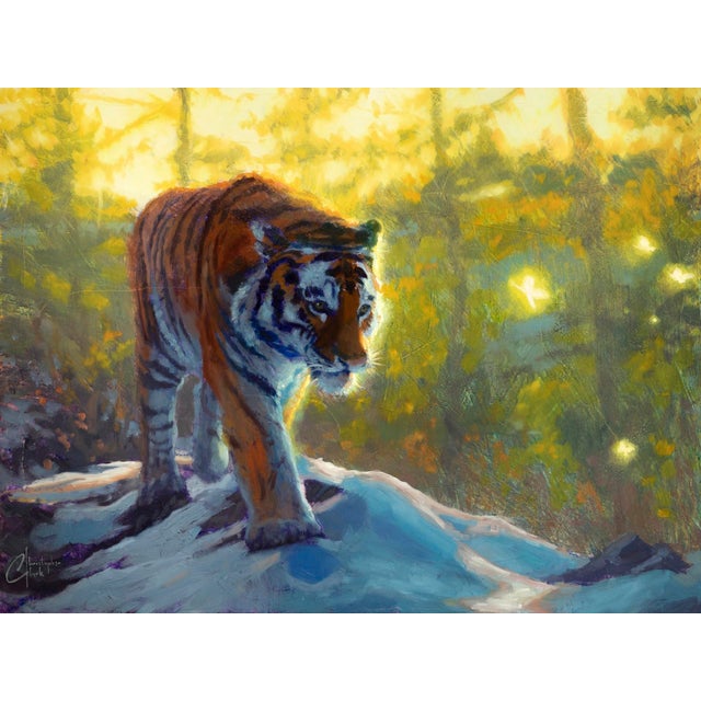 Contemporary Exploring the Wild by Christopher Clark | Oil on wood panel Tiger walking in a forest setting For Sale - Image 3 of 3