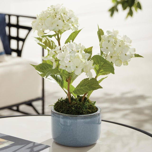 This set of earthenware pots are designed for the outdoors, but are equally as beautiful indoors. From the depth of the...