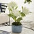 This set of earthenware pots are designed for the outdoors, but are equally as beautiful indoors. From the depth of the...