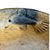 2007 Belize Art Pottery Bowl Raised Relief Shrimp Prawn Handmade Artist Signed 8" For Sale - Image 11 of 11