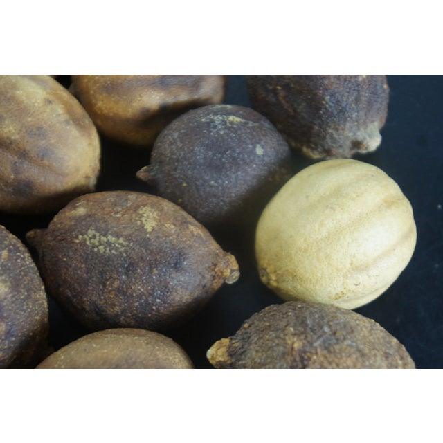 Set of 33 Antique Early 20th Century Decorative Whole Dried Fruits Pomegranates & Lemon Limes For Sale - Image 4 of 13