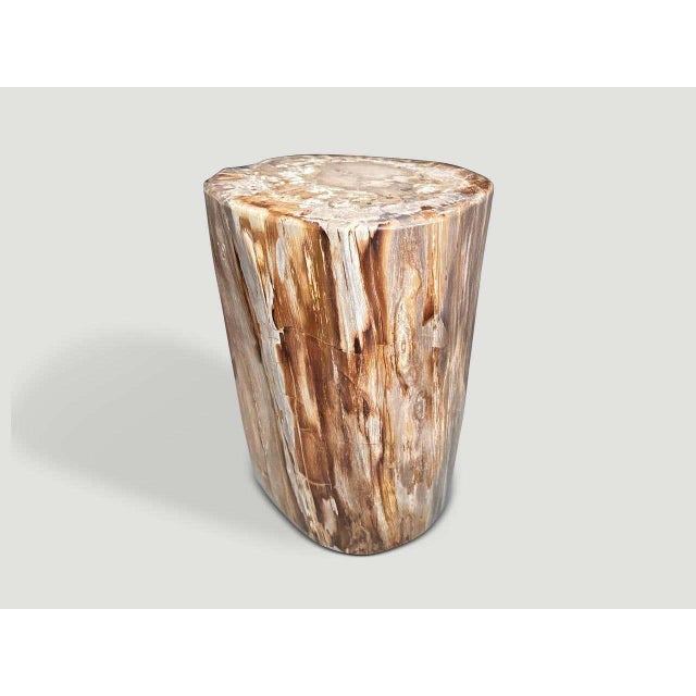 Andrianna Shamaris Coral Toned High Quality Petrified Wood Side Table For Sale - Image 4 of 6