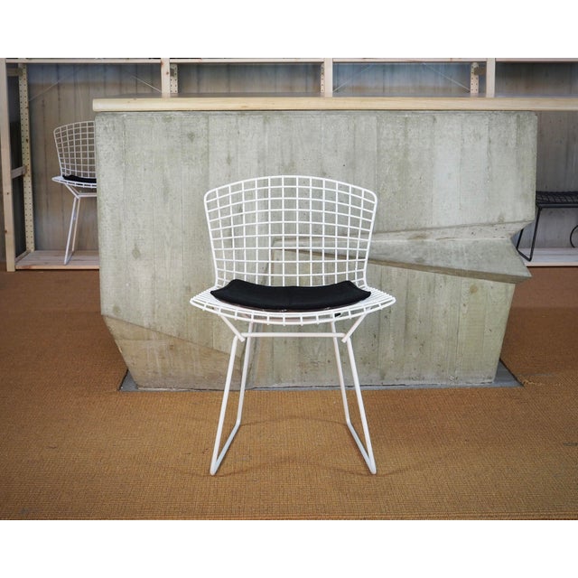 Bertoia Side Chairs with Cushion by Harry Bertoia for Knoll International, Set of 4 For Sale - Image 11 of 16