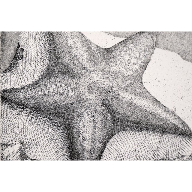 Paper Starfish Etching in Ink on Paper (#8/16) by J Brown For Sale - Image 7 of 10