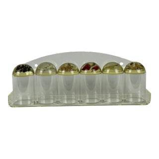 1960s French Mid-Century Modern Lucite Spice Canister Set With Inlaid Spices in Covers For Sale