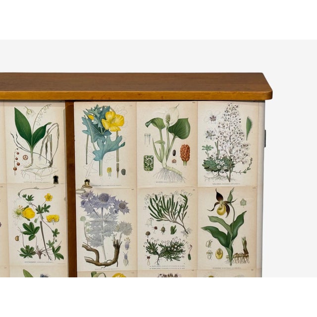 Swedish Modern, Nordens Flora Cabinet, Birch, Floral Lithographs, Sweden, 1940s For Sale In New York - Image 6 of 13