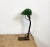 Vintage Green Enamel Bank Lamp from Astral, 1930s, in Good conditions. Designed 1920 to 1949 This piece has an attribution...