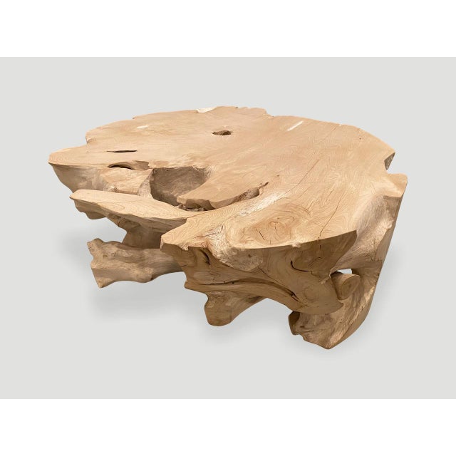 Andrianna Shamaris Organic Bleached Teak Wood Coffee Table or Side Table For Sale - Image 13 of 18