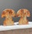 Vintage Italian Alabaster Mushroom Bookends, Circa 1960 - A Pair For Sale In Los Angeles - Image 6 of 10