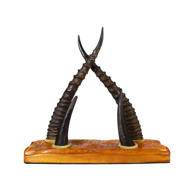 Early 20 Century Antelope Horn Desk Letter Paper Organizer For Sale - Image 11 of 11