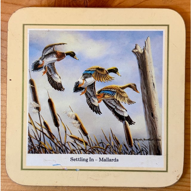 Super fabulous set of vintage waterfowl coasters! Set of 6 - all different images! Get ready for outdoor entertaining!