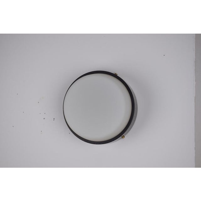 Vintage Greco Ceiling Lamp, 1950s For Sale - Image 4 of 13