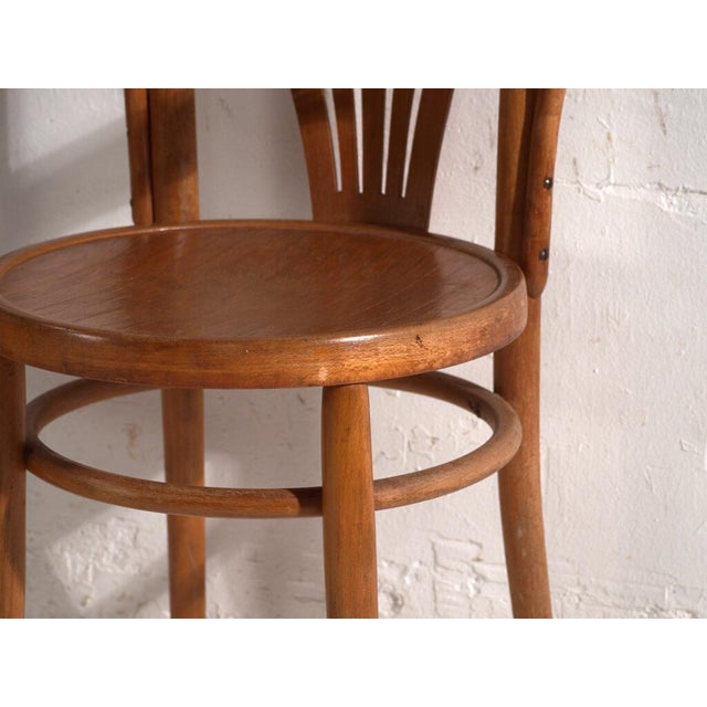 Bentwood Chairs in the style of Thonet, Hungary, 1960, Set of 2 For Sale - Image 3 of 12