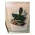Original Mid-19th-Century John Gould Hand-Colored Toucanet Lithograph For Sale - Image 4 of 8