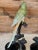 Late 20th Century Coastal Tropical Bronze Hand Painted Parrot Statues on Marble Bases-Pair For Sale In Naples, FL - Image 6 of 12