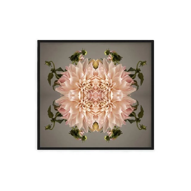 "No. 137" Original Botanical Still Life Digital Print by Erin Derby For Sale - Image 4 of 6