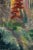 Camille Roche, Undergrowth, 1930s, Oil Painting on Canvas, Framed For Sale - Image 6 of 10