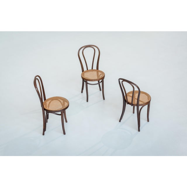 Vintage Chaplin Chairs from Thonet, 1960s, Set of 3 For Sale - Image 12 of 12