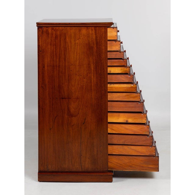 Brown 19th Century Collectors Cabinet with 14 Drawers For Sale - Image 8 of 15