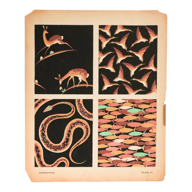 1928 American Animal Design Pochoir, Inspirations (Book B, Plate 14), André Durenceau For Sale