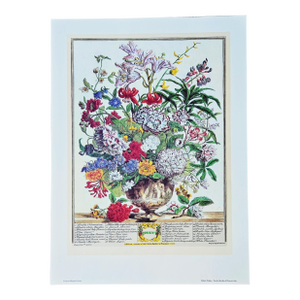 1980s Vintage Robert Furber July Botanical From "Twelve Months of Flowers” Pierpont Morgan Library Print