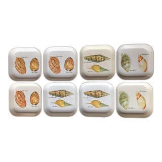 Vintage Late 20th Century Italian Mebel Sea Shell Trays - Set of 8 For Sale