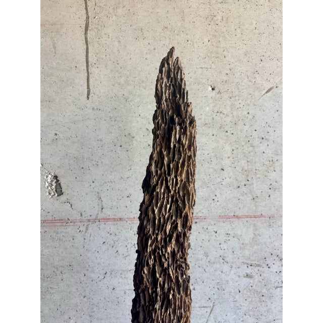 Vintage Coastal Oyster Worn Cedar Poles on Black Bases, Pair For Sale - Image 4 of 7