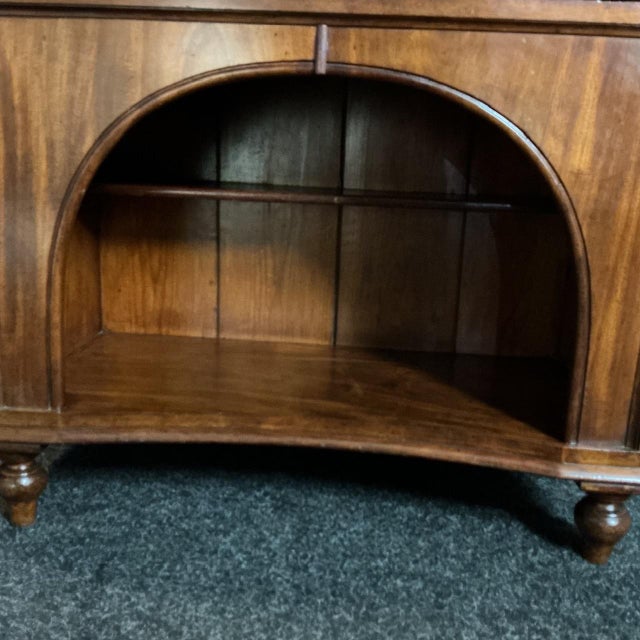 Late 19th Century Victorian Dog and Cat Kennel Dresser, 1870 For Sale - Image 5 of 8