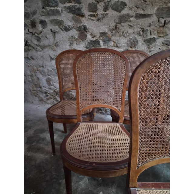 Antique Louis XVI Cane Dining Chairs, 1890s, Set of 6 For Sale - Image 15 of 18