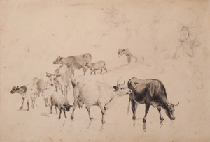 Thomas Sidney Cooper or Follower, Study of Cattle and Sheep, 1890s, Graphite Drawing