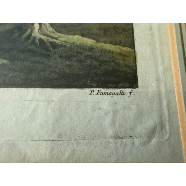 Green Antique Framed Mount Vernon Estate Etching by Paolo Fumagalli For Sale - Image 8 of 11
