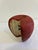 Signed Chris Colby Carved Wood Apple Sculpture, Maine Folk Art For Sale - Image 10 of 10