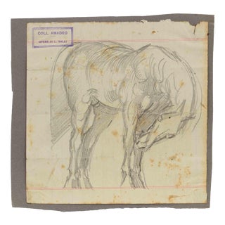 Luigi Galli, The Horse, 19th Century, Pencil on Paper For Sale