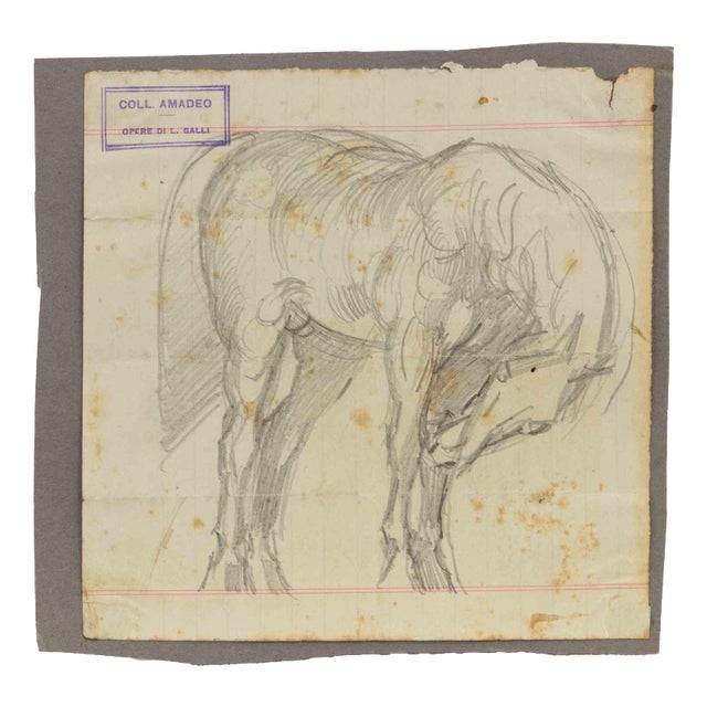 Luigi Galli, The Horse, 19th Century, Pencil on Paper For Sale