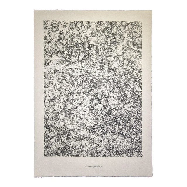 Terrain Graveleux - From Sols, Terres is an original black and white lithograph realized by Jean Dubuffet (1901 Le Havre -...